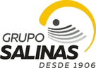 Grupo Salinas Grupo Salinas
